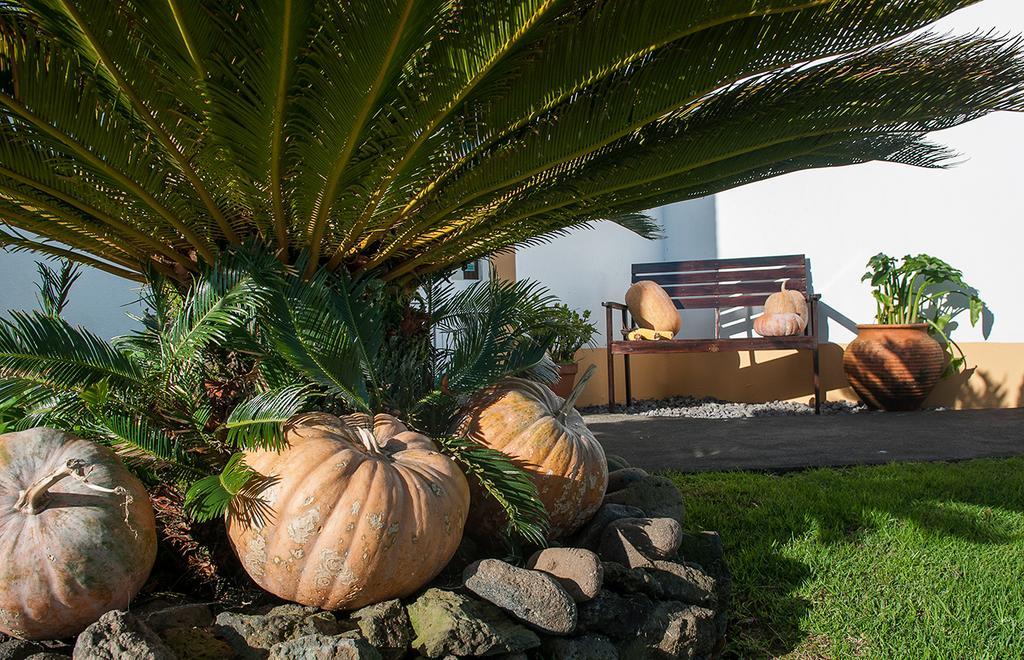 Vila Belgica Bed & Breakfast Horta  Luaran gambar