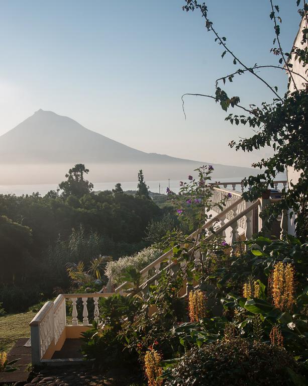 Vila Belgica Bed & Breakfast Horta  Luaran gambar
